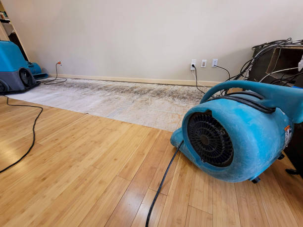 Reliable Basement Flood Cleanup contractor in Fontana, WI by Hirex Water Damage