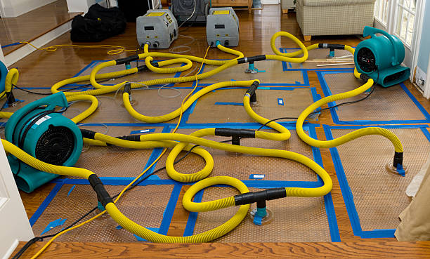 Professional Basement Flood Cleanup technician working in Fontana, WI